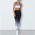 Workout Stretchy Gradient Skinny Leggings